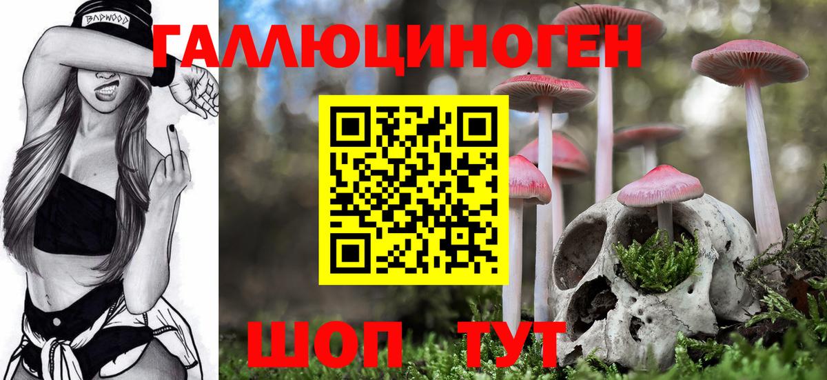Химки  Галлюциногенные грибы прущие грибы  Вход с VPN 